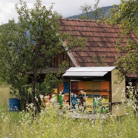 Apartma Petra Ravnik - Wanderer'S Hut Apartment Bohinj ภายนอก รูปภาพ
