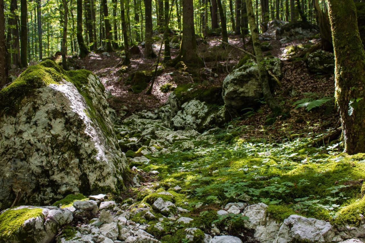 Apartma Petra Ravnik - Wanderer'S Hut Apartment Bohinj ภายนอก รูปภาพ
