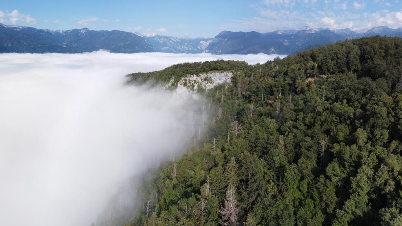 Apartma Petra Ravnik - Wanderer'S Hut Apartment Bohinj ภายนอก รูปภาพ